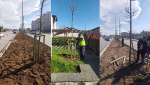 Bursa'nın Fethinin 700. Yılına Özel 700 Çınar Fidanı Şehrin Dört Bir Yanında Toprakla Buluşuyor